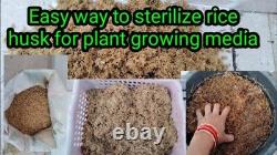 100% ORGANIC RICE HULLS GROWING HYDROPONIC NATURAL COMPOST MEDIA RICE HUSKS 10kg