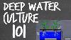 Deep Water Culture Dwc Hydroponics System Tutorial