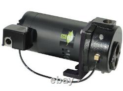 Eco-flo Products Deep Water Well Jet Pump 1HP 115/120v
