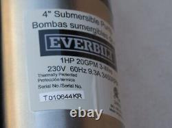 Everbilt 1 HP Submersible 3-Wire Motor 20-GPM Deep Well Potable Water Pump