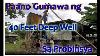 How To Dig 40 Feet Deep Well For Piggery