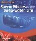 Very Good, Sperm Whales And Other Deep Water Life (under The Sea), Sally Morgan