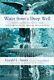 Water From A Deep Well Christian Spirituality From Early By Gerald Lawson New