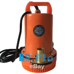 Ferme Et Ranch Énergie Solaire Submersible De Puits Profond Pompe À Eau DC 12v, 120w