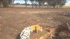 Immense Profonde Old 1800 Australian Farm Puits D'eau Plein De Trésors Permission To Dig Accordé