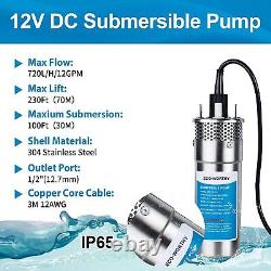 Pompe de puits profond submersible 12V CC 3.2GPM 230ft en acier inoxydable pour l'irrigation